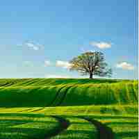 高﻿级​语‍音​的‌优‍点﻿